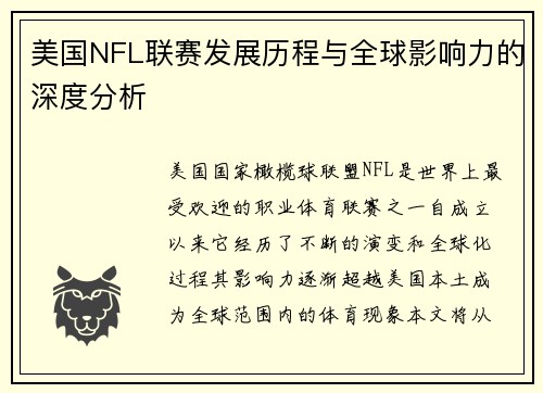 美国NFL联赛发展历程与全球影响力的深度分析